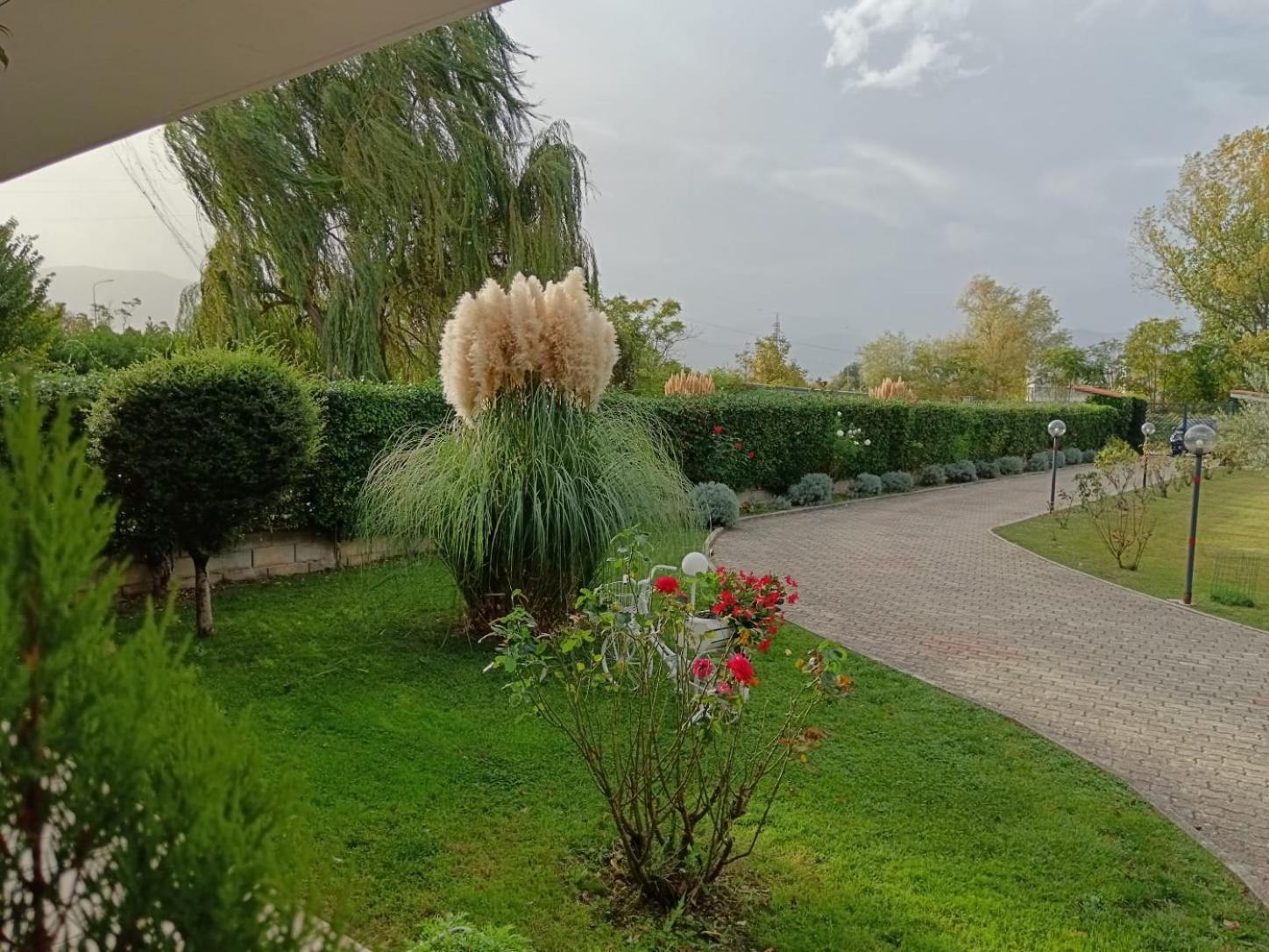 Parco Delle Rose Villa Сулмона Екстериор снимка